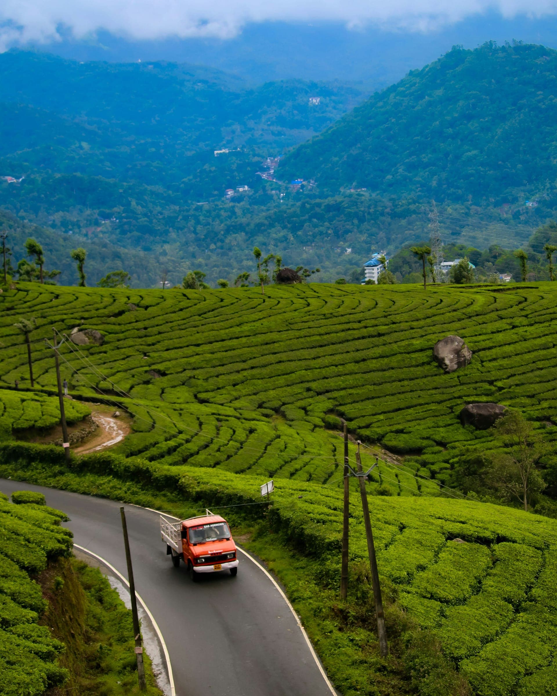 Day 3: Munnar