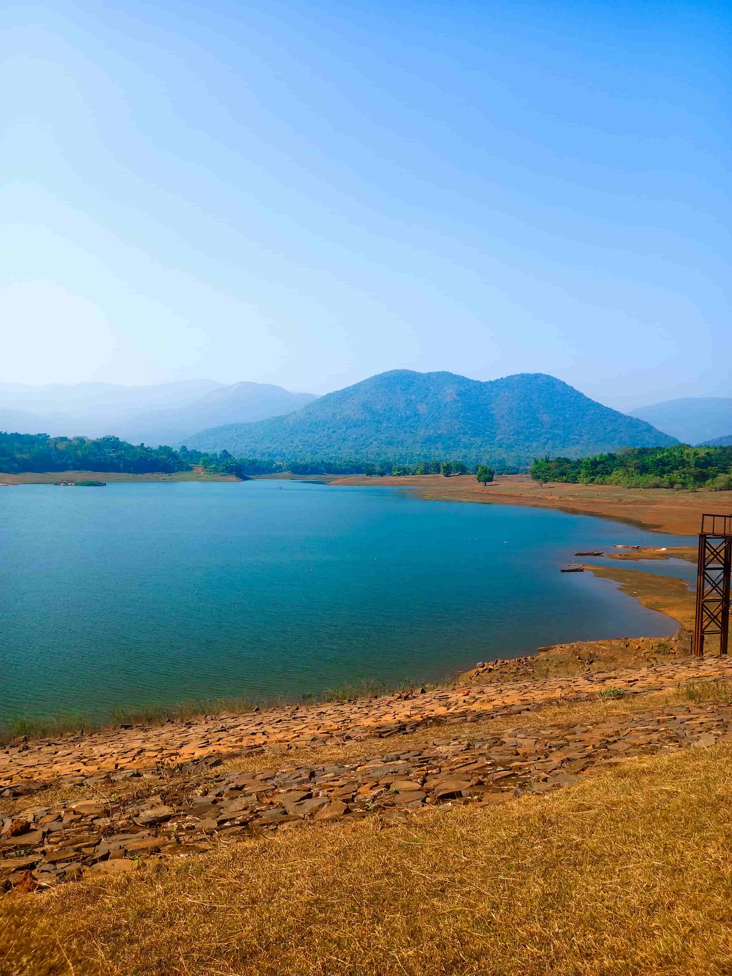 Day 4: Munnar Sightseeing