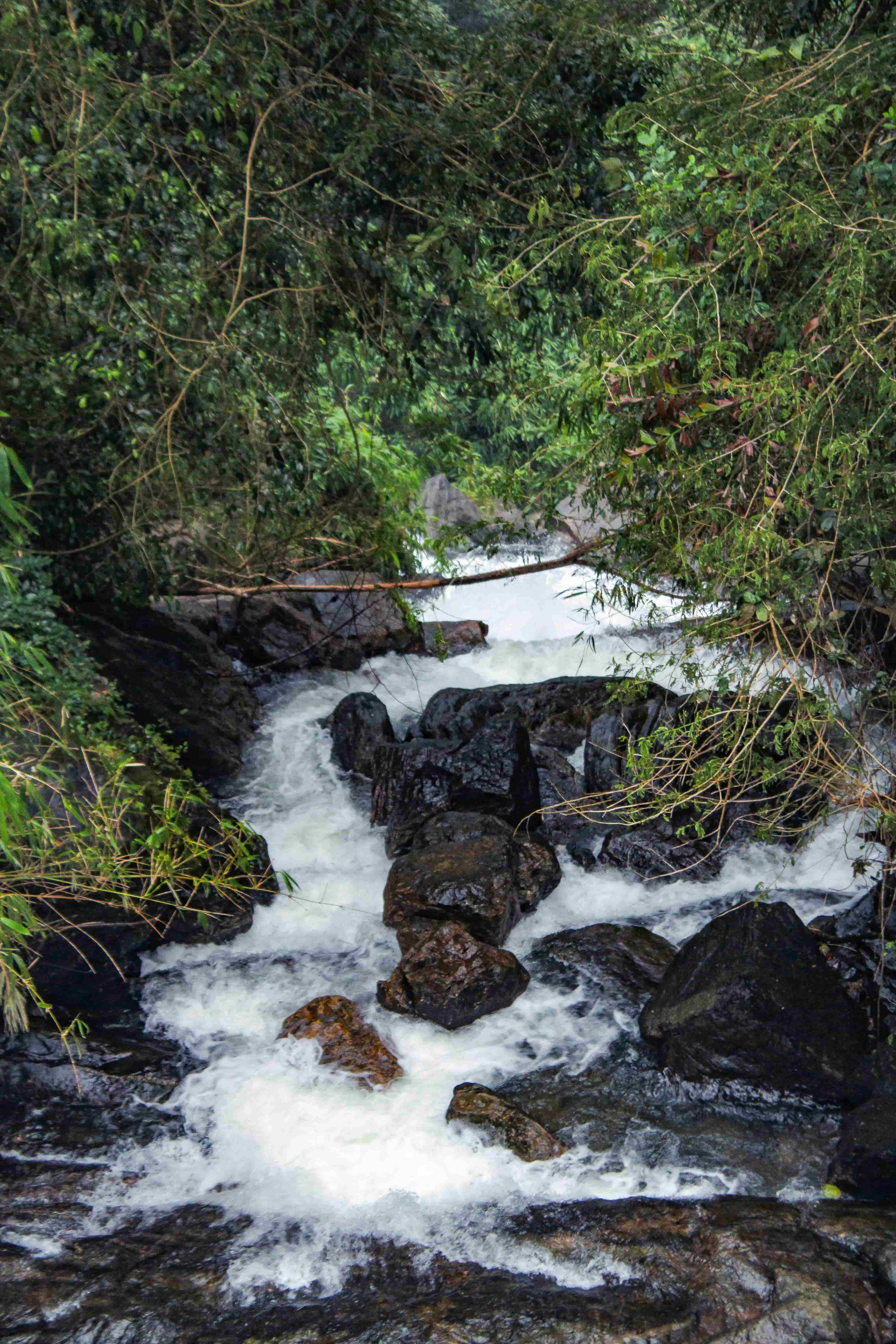 Day 5: Thekkady (Periyar)