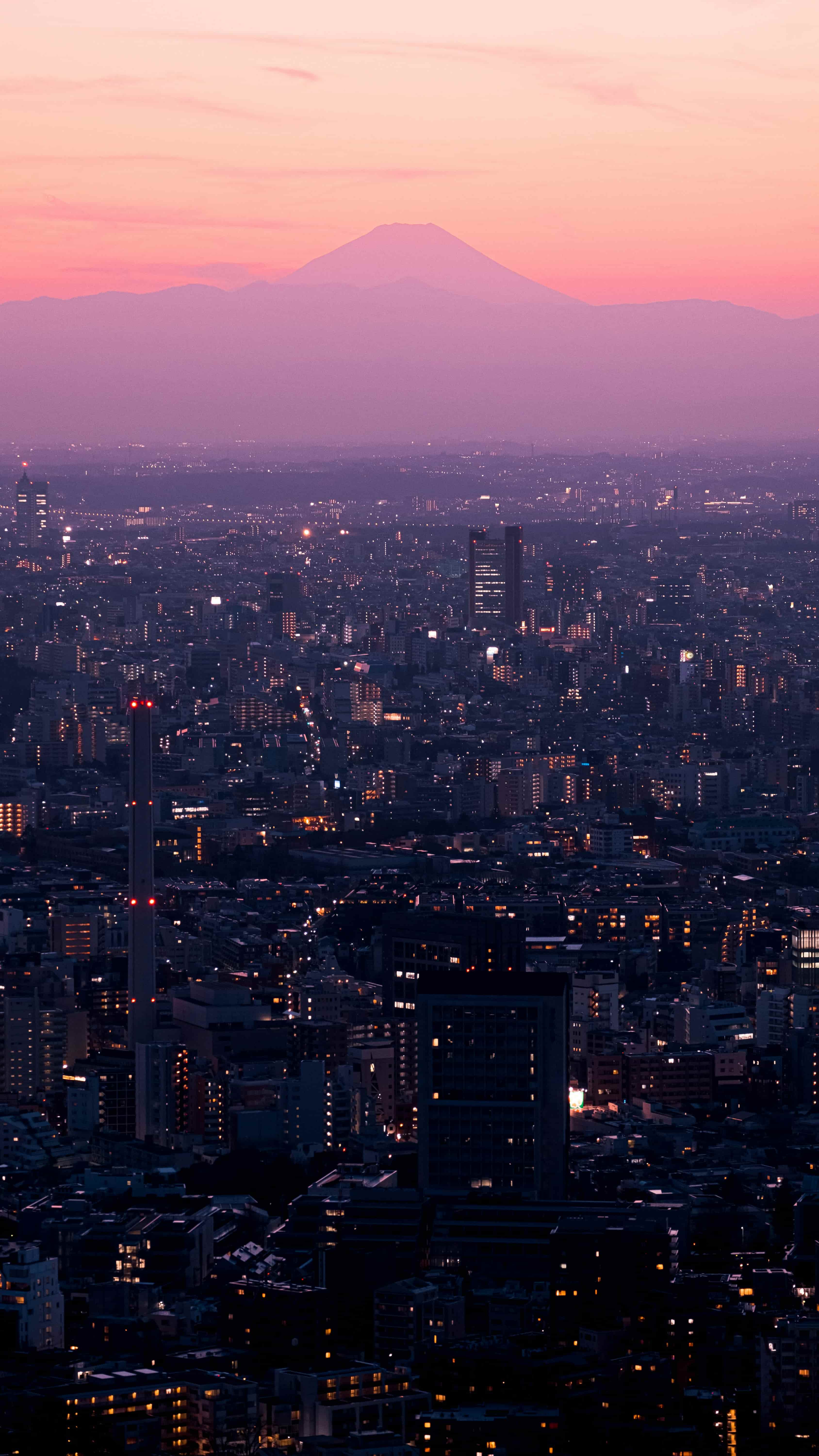 Day 10: Back to Tokyo and Departure