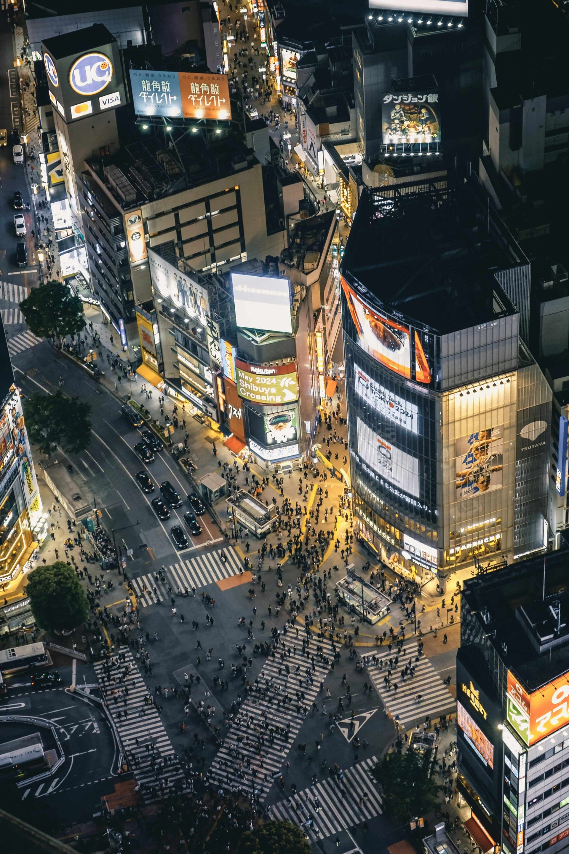 Day 2: Tokyo Sightseeing