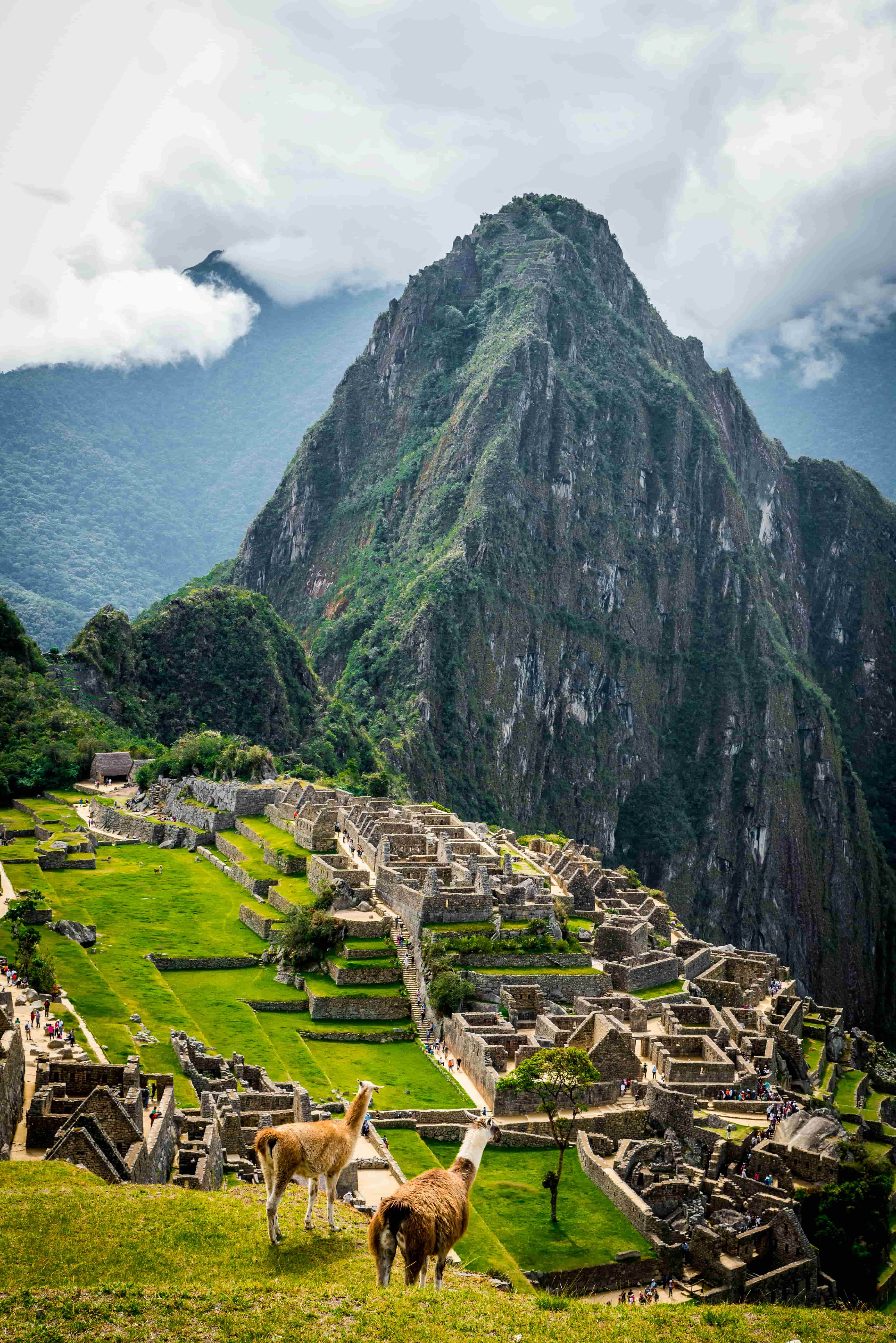 Day 5: Machu Picchu