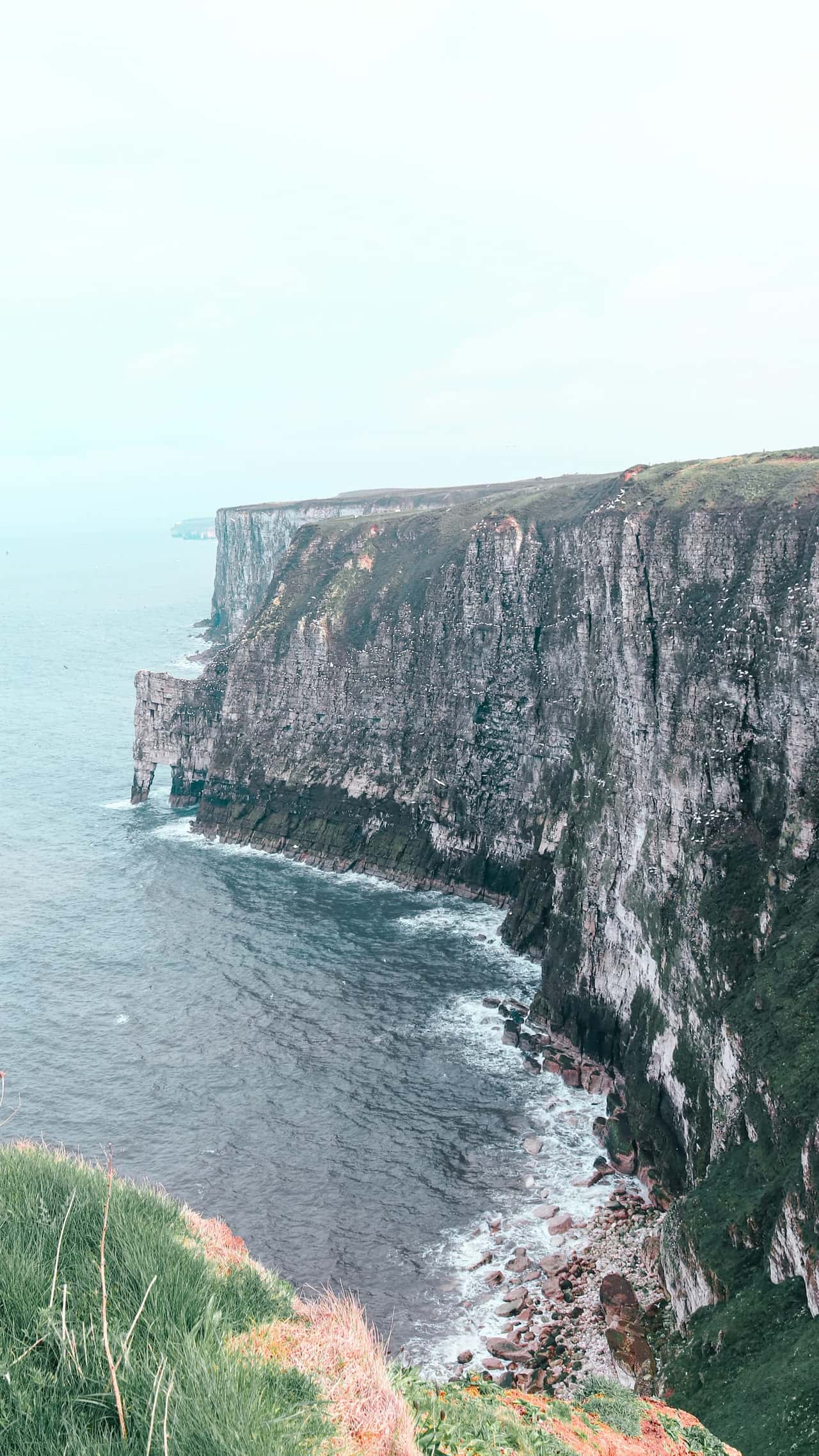 Explore the Charm of the East Coast with Fly with Rabbit