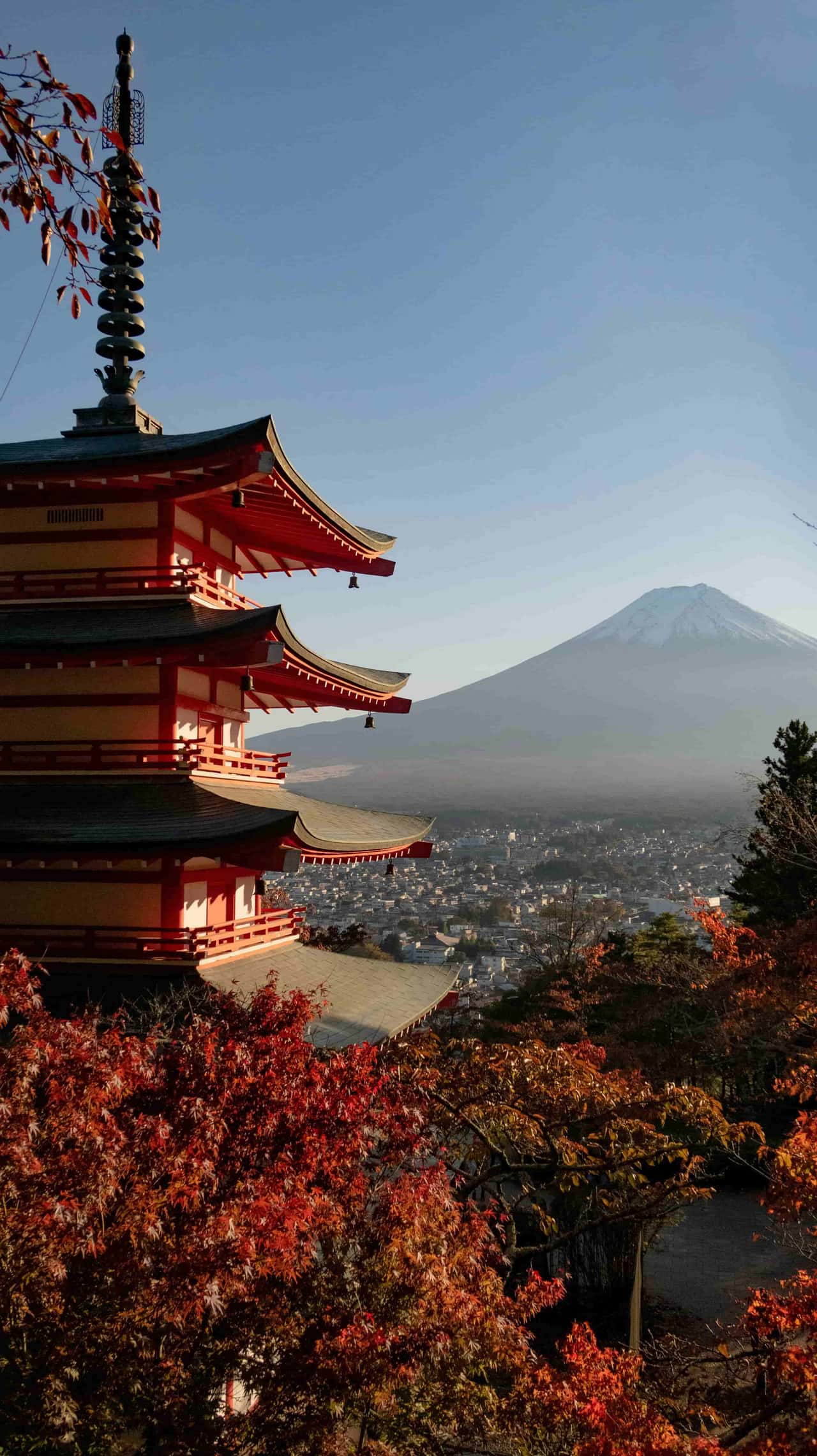 Journey to the Land of the Rising Sun: Exploring Japan with Fly with Rabbit